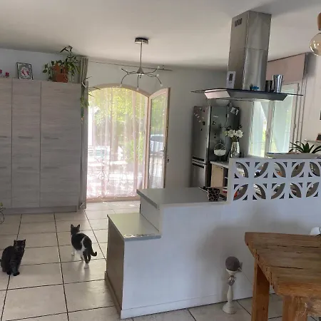 Villa Zen Avec 2 Chats Grospierres Esterno foto